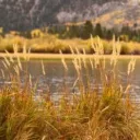 God's Plan as Revealed by His Holy Days