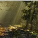 How Can We Find the Pathway to Peace?