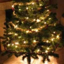 I Won’t Be Decorating My Tree with Popcorn Strings