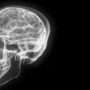 "Let This Mind Be in You." What Mind?