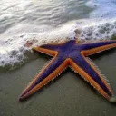 Making a Difference for That One