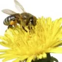 Prove Evolution Is False Even Without the Bible