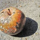 Rotten apple on concrete.