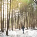 Person walking through woods during the winter.