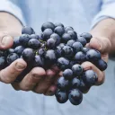 A man holding a large cluster of grapes.