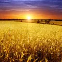 The Questions of Life & God's Holy Days - Part 2