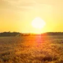 The Unseen Forces at Work in the World