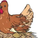 Under the Shadow of His Wings