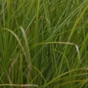 Treasure Digest: When Things Look Desperate