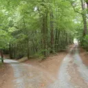 We Always Have Choices