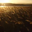 Crop at sunset - What Do the Holy Days Mean for Christians Today?