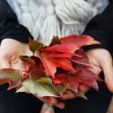 A woman's hands holding leaves.
