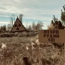 A photo of the famous Red Forest near Chernobyl Nuclear Power Plant in the Exclusion Zone.