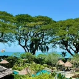 2024 Feast of Tabernacles Penang, Malaysia a rooftop view of trees and the ocean