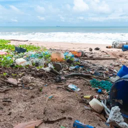 washed up trash on a beach