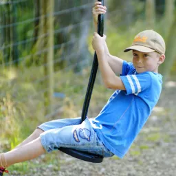 UYC British Isles a child on a tire swing