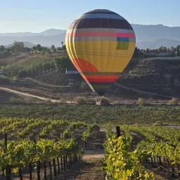 a hot air balloon on the ground
