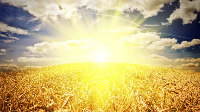 Jesus Christ in the Biblical Festivals