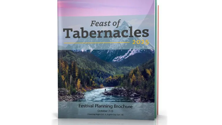 2025 Festival Planning Brochure