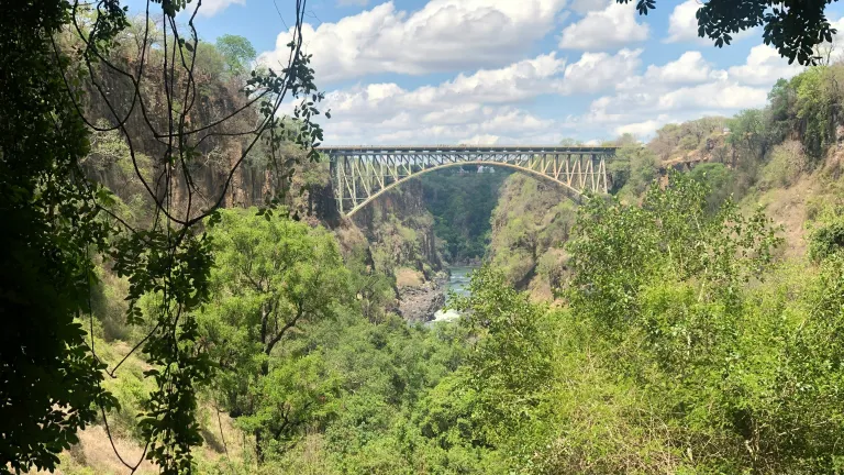 green plants in the foreground, a bridge in the background, and a cloudy blue sky above