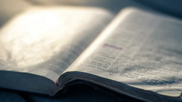 an open Bible on a wooden surface