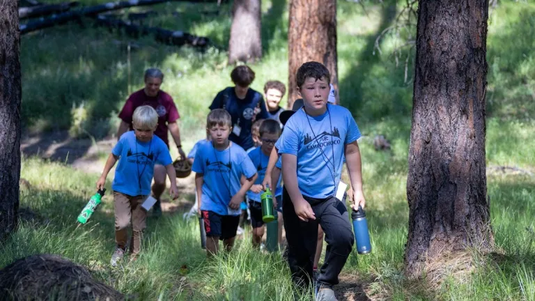 a group of boys walking in the woods