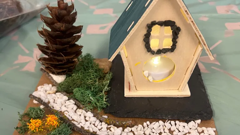a birdhouse craft