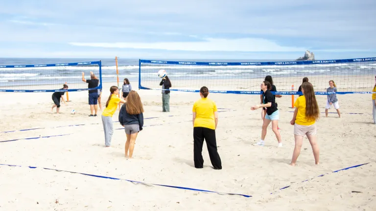 people playing volleyball