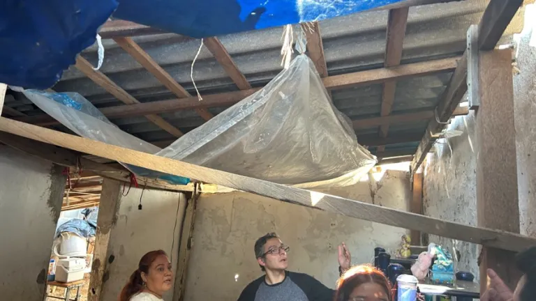 Makeshift Roofing 