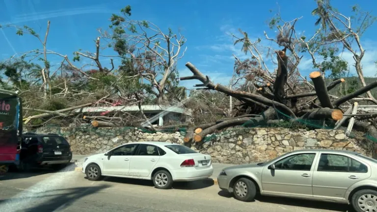 Hurricane Damage