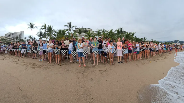 a large group of people gathered on the beach