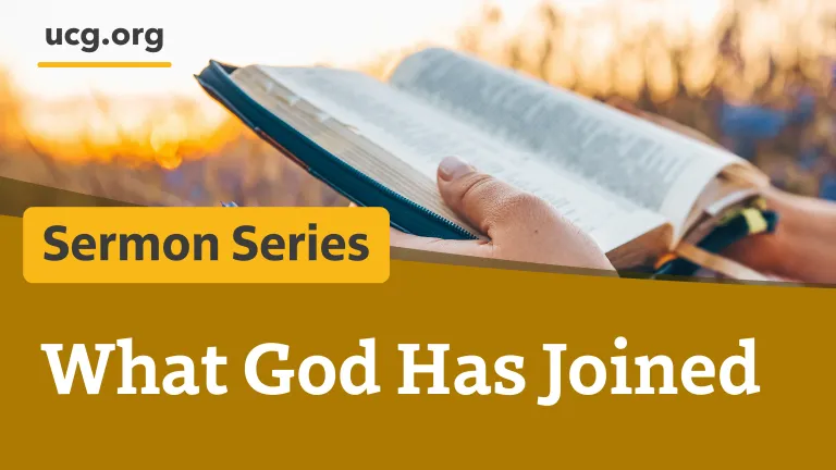 What God Has Joined series
