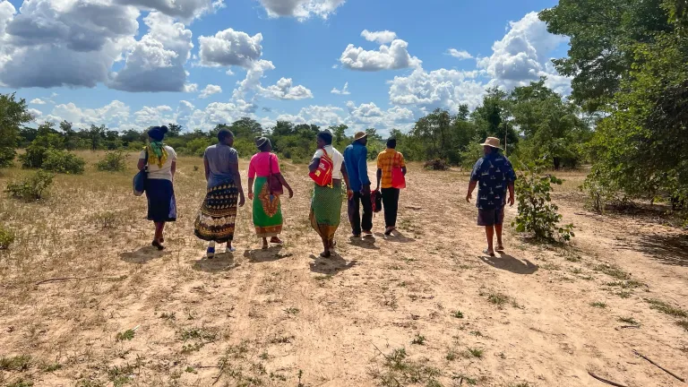 The drought has been especially severe in Zimbabwe. seven people walking outdoors in a dry field with a cloudy sky overhead