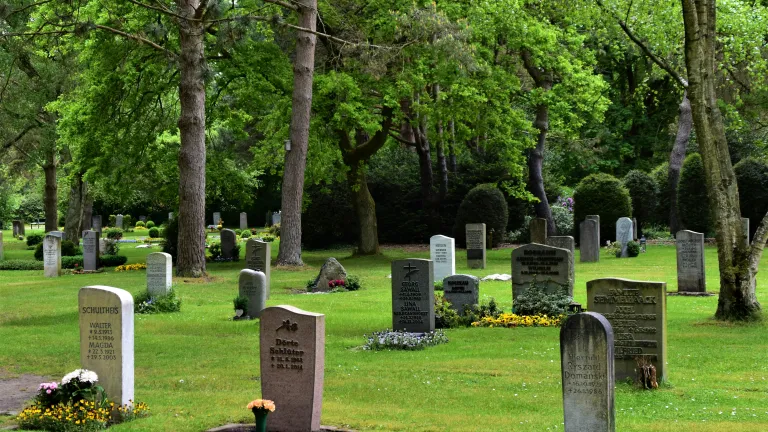 A graveyard