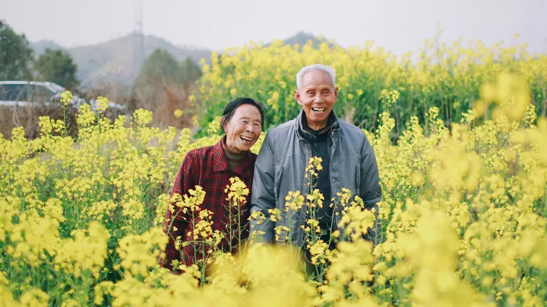 an older woman and man standing in a field of yellow flowers