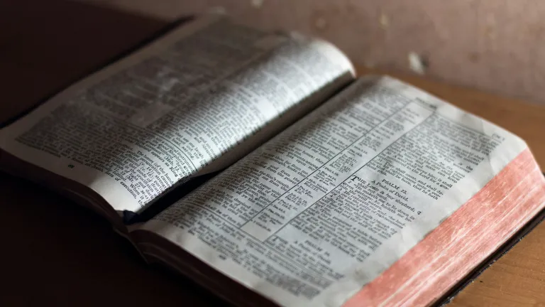 An open bible