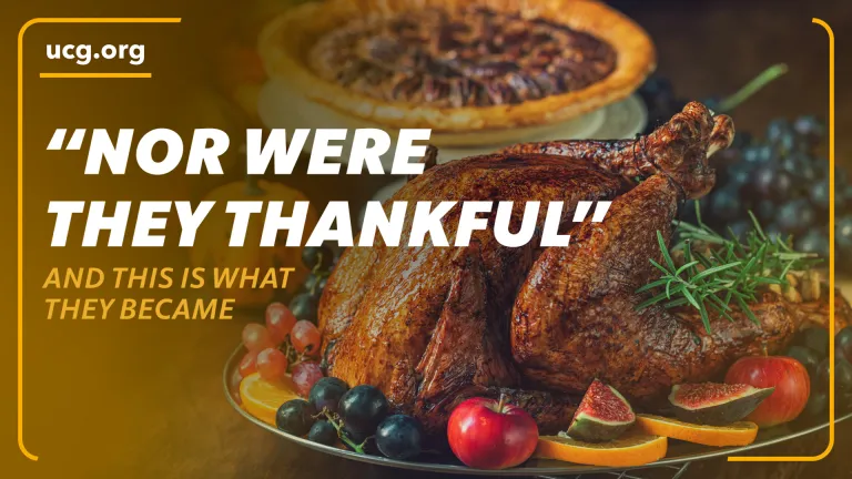 Biblical Worldview: "Nor Were They Thankful" And This Is What They Became