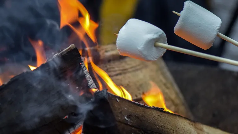 two marshmallows on sticks over a campfire
