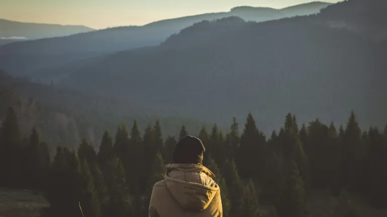 A person sitting alone looking out over trees and mountains.