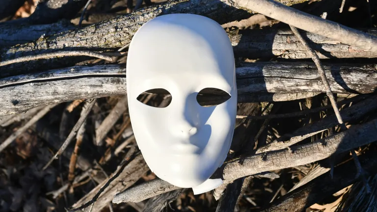 White mask on top of a pile of sticks
