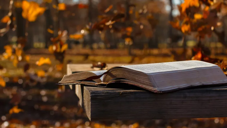 May we all treasure the truth God gives, remain committed to Him and experience the blessings He bestows—while we yet have time. An open Bible sitting at the edge of a picnic table.
