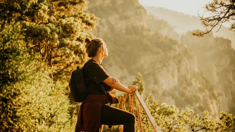 a woman leaning on a railing and looking out over a hillside drenched in golden sunlight