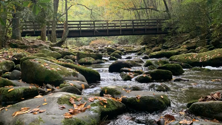 a bridge over a stream with large stones in the water and green trees overhead