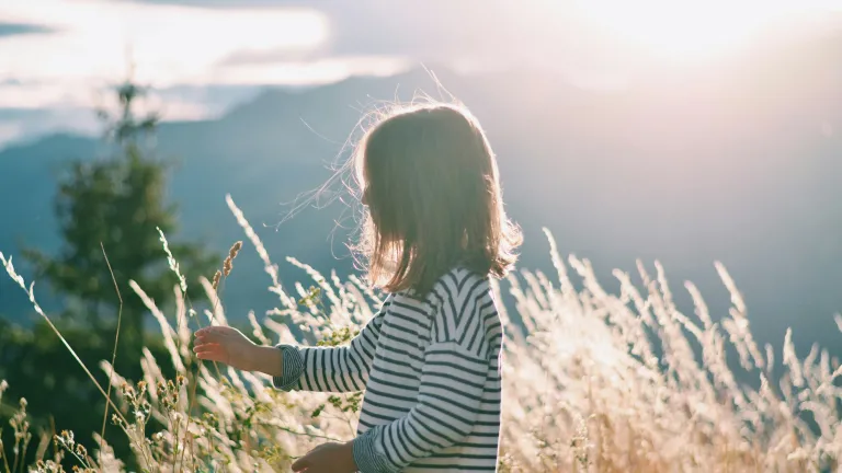 a girl standing among tall grasses with the sun behind her
