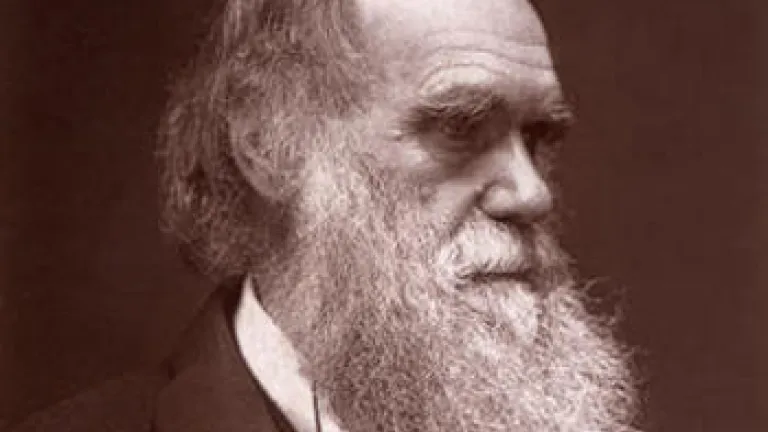 10 Ways Darwin Got It Wrong Charles Darwin