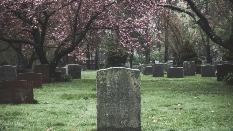 Time will simply fly by when we are working with Jesus Christ to prepare the world for the second resurrection. tombstones in a field shaded by trees with pink blossoms