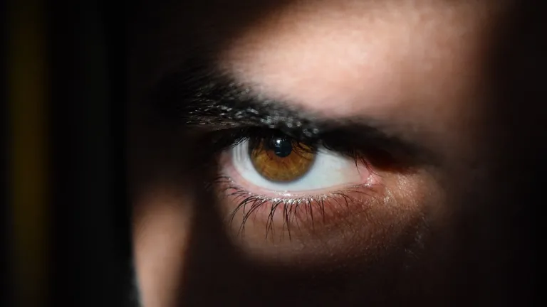 What started as perhaps a chance observation soon grew into a full-blown sin. a brown eye on a face staring from the shadows
