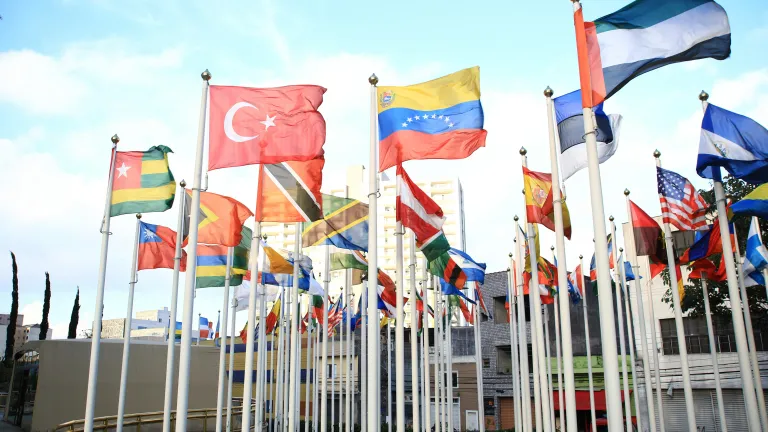 a group of national flags outdoors on flagpoles