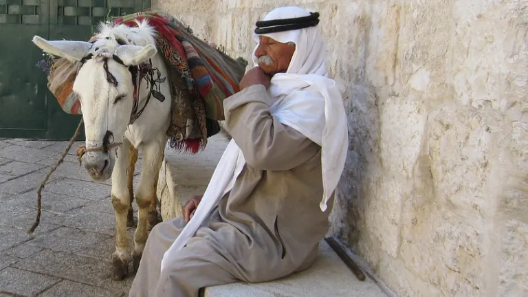 Jesus healed a man who was born blind. an old man wearing robes with his eyes closed seated on a stone bench with a donkey standing to his side