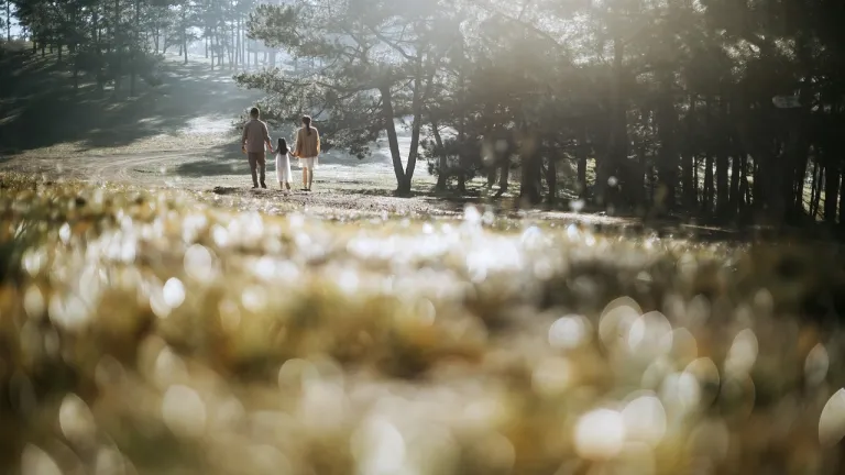 golden grass in the foreground and a family of three walking down a path in the distance